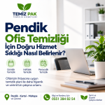 cleanu